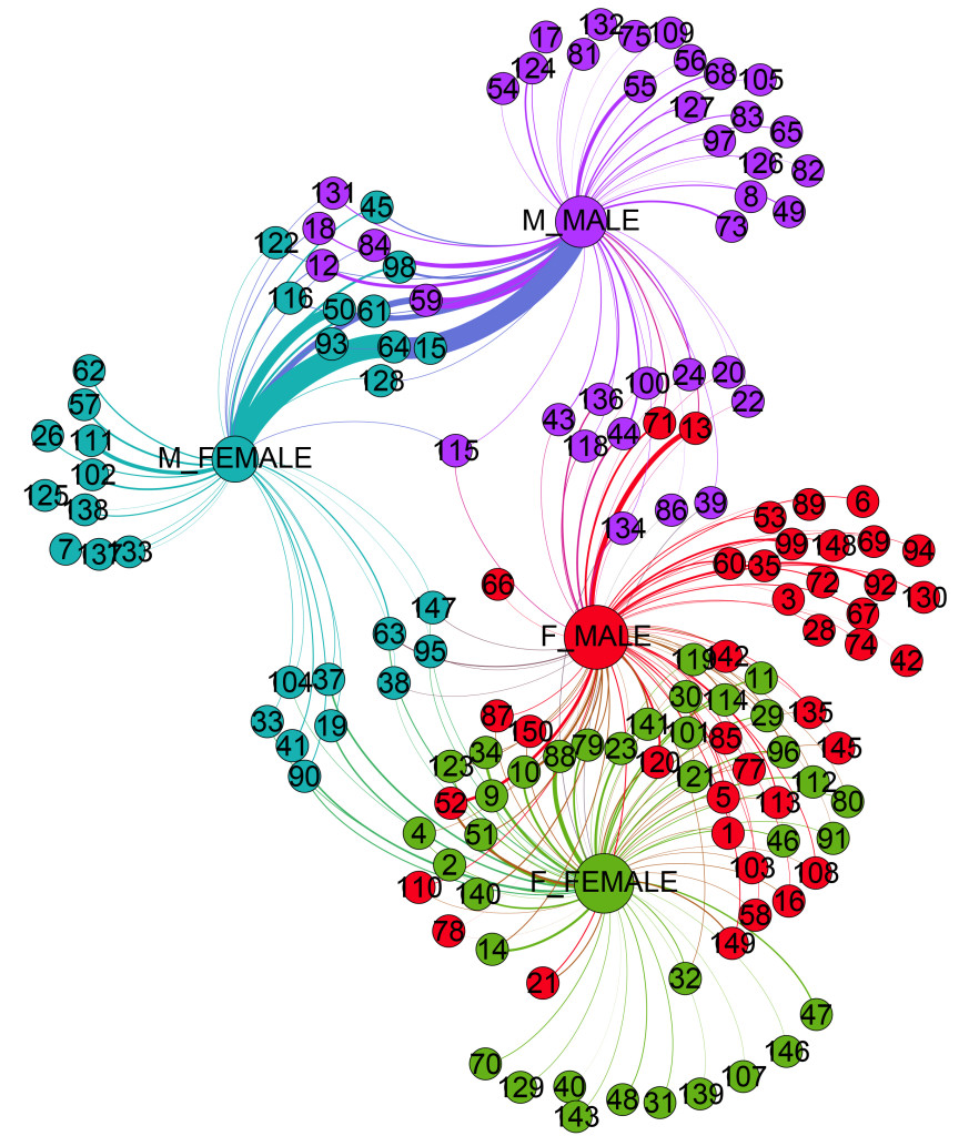 Network of Topic Relationships to Gender Groups